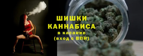 сатива Абинск