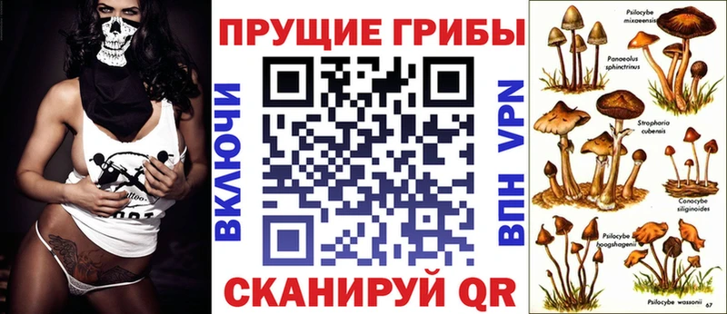 Псилоцибиновые грибы Psilocybe  МЕГА ССЫЛКА  Безенчук 